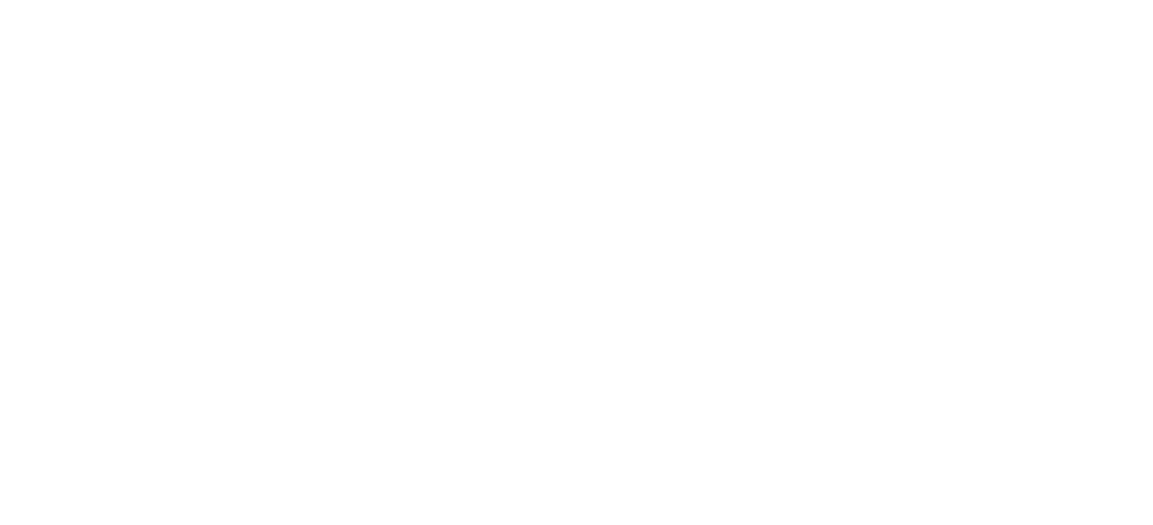 Eveira Marketing